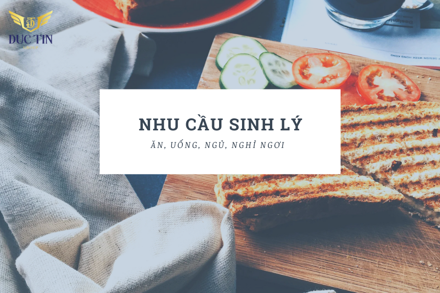 Nhu cầu sinh lý trong tháp nhu cầu Maslow